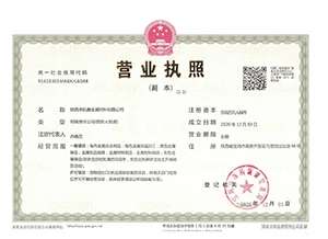 Business License